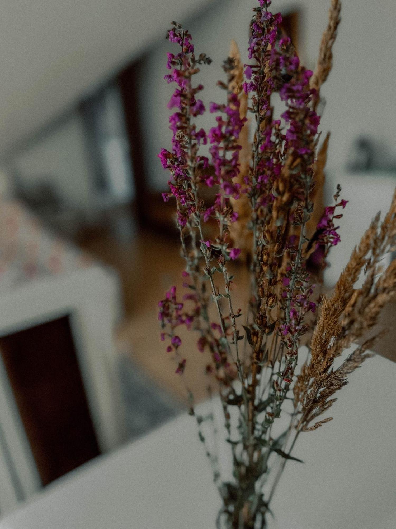 Boho Przystan Łazy Buitenkant foto
