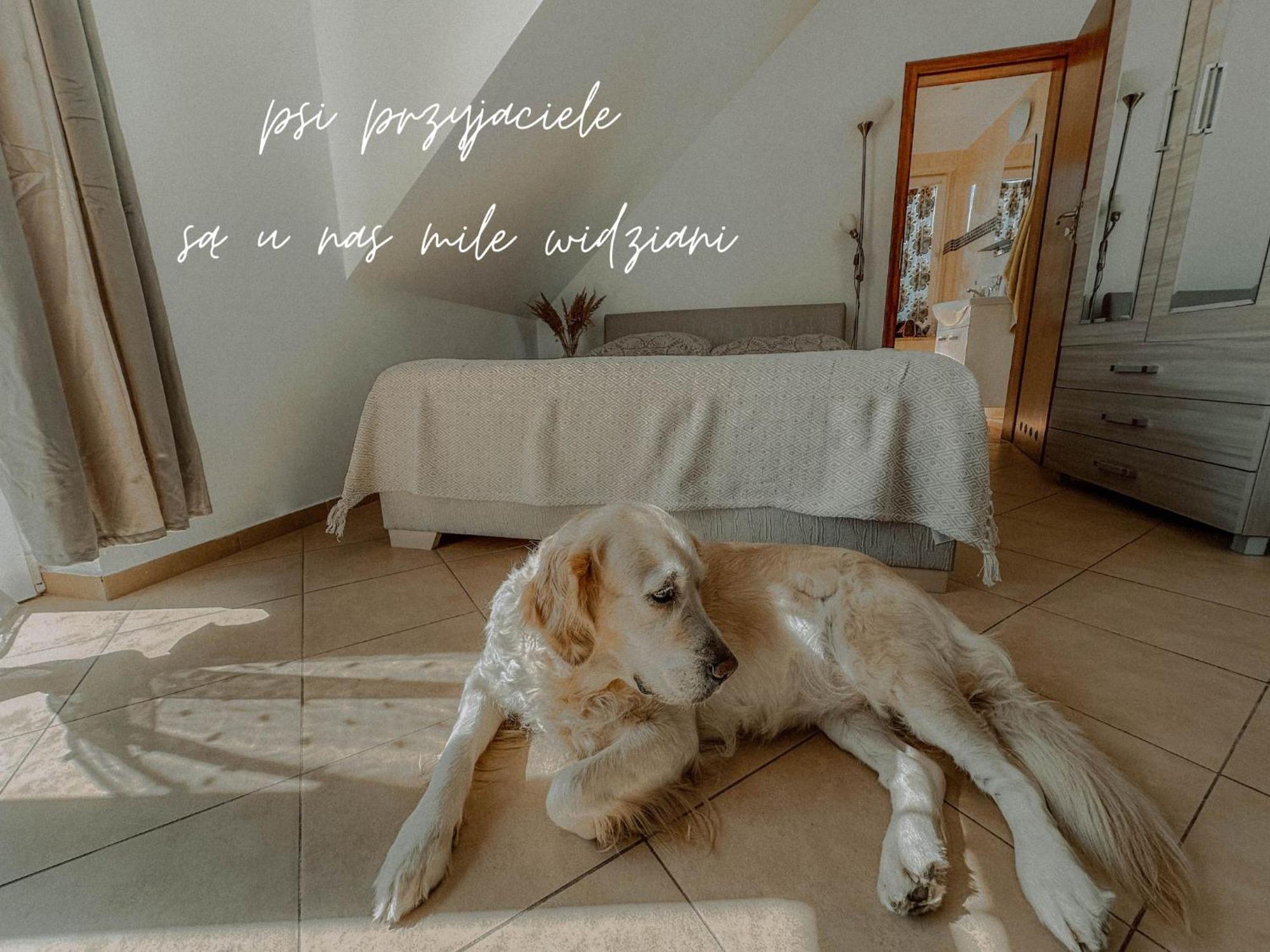 Boho Przystan Łazy Buitenkant foto