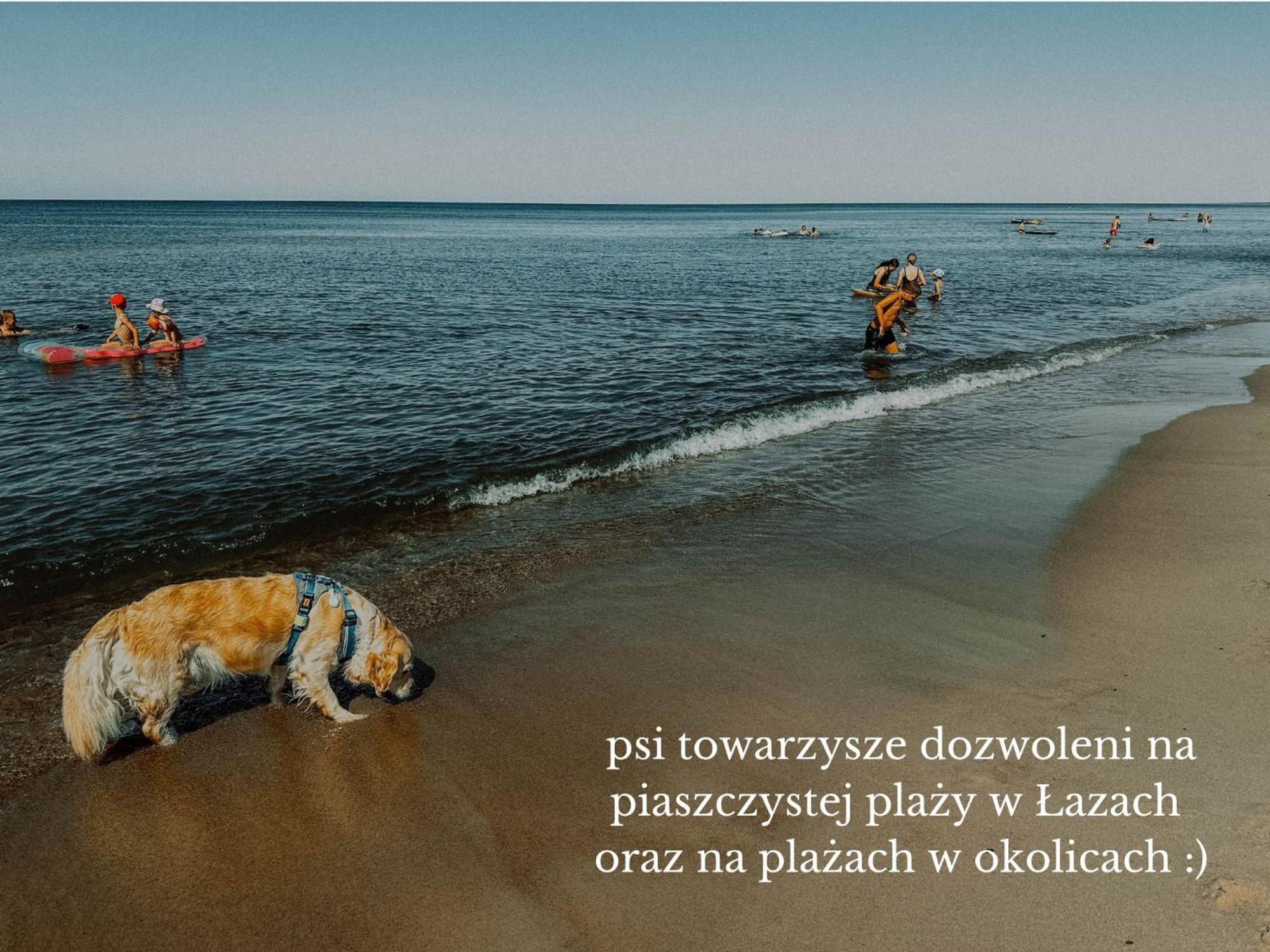 Boho Przystan Łazy Buitenkant foto