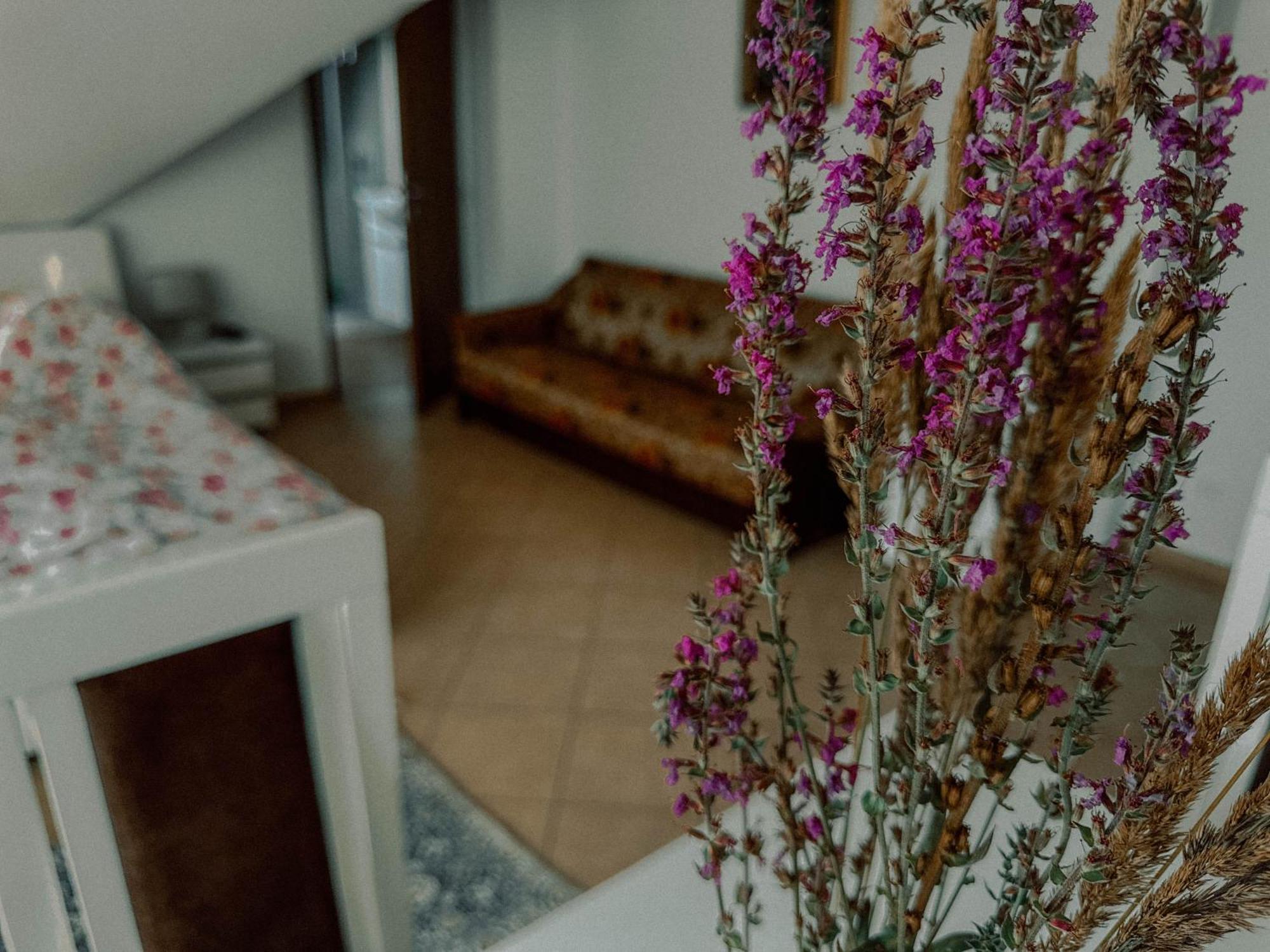 Boho Przystan Łazy Buitenkant foto
